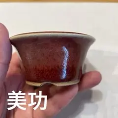 380 盆栽　盆栽鉢　植木鉢　和鉢　美功 380 盆栽 盆栽鉢 植木鉢 和鉢 美功