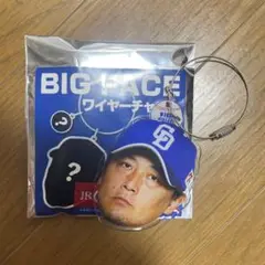 涌井秀章 ワイヤーチャーム