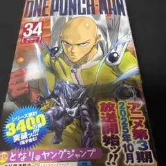 ワンパンマン 34