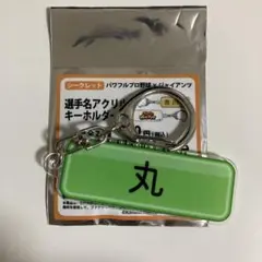 パワプロプロ野球×ジャイアンツ 選手名アクリルキーホルダー 丸佳浩
