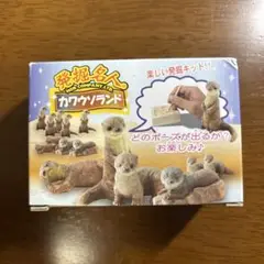 カワウソランド 発掘キット 全4種　発掘　動物　お子様