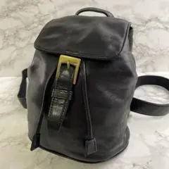 DKNY ディーケーエヌワイ 本革 レザー ミニ リュックサック 黒(ブラック)