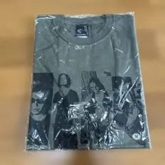 ストレイテナー Tシャツ Mサイズ