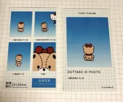 サンリオ　証明写真　タイニーチャム