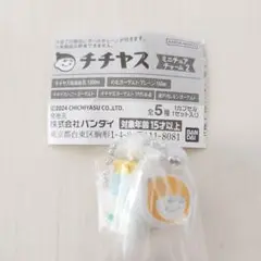 チチヤスミニチュアチャーム2
