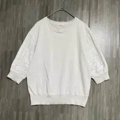 テチチ　異素材レーススリーブ コットンブレンドニット　F