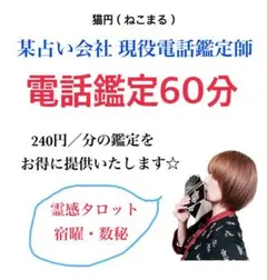電話鑑定60分 鑑定書つき ※希望のお時間をコメントください