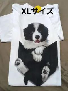 ボーダーコリー プリント Tシャツ ホワイト