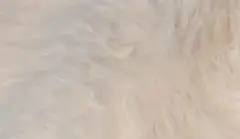 りんごさん専用ページ