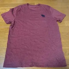 Abercrombie & Fitch ソフトTシャツ L バーガンディ