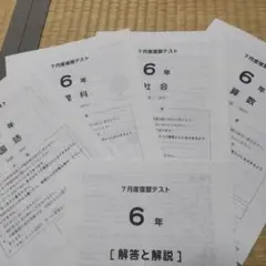 SAPIX6年2025年7月復習テスト