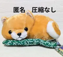 豆しば三兄弟　お座布でまったり　JB　ぬいぐるみ　28cm　豆太郎