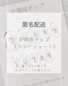 (匿名)計測用チップ