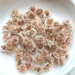 No,278☘️かすみ草のドライフラワー