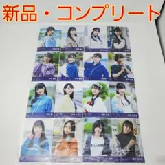 【新品】STU48『君は何を後悔するのか？』劇場盤 生写真 フルコンプ 全16種
