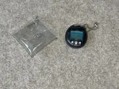 Item thumbnail for item 4479e129-dd57-4fb7-ab1e-3d07bfbb347d