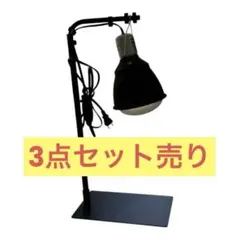 Item thumbnail for item e21be332-4ac2-4c06-a215-f1de146abc16