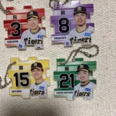 ⭐️阪神タイガース⭐️佐藤輝明大山悠輔他⭐️アクリルキーホルダー