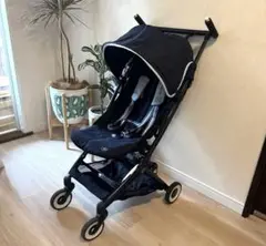 Item thumbnail for item 563ae757-2c98-4135-a0b1-347639f2105b