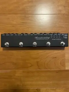 Item thumbnail for item fbe726ed-ddad-4058-a736-360d07468ebd