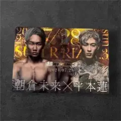 新品　RIZIN ポテトスティック ポスターカードコレクション No.27