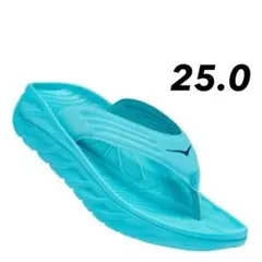 Item thumbnail for item 5adfce48-0eba-4802-b26b-44bcccb0b718