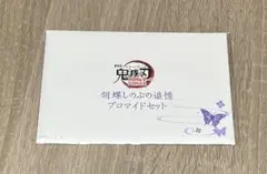 新品未開封 鬼滅の刃 無限城 胡蝶しのぶの追憶ブロマイドセット
