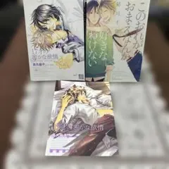 BL 17才の密かな欲情　小冊子付き　他計2冊