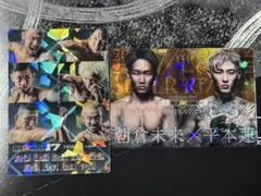 RIZIN ポテトスティック ポスターカードコレクション 2枚セット