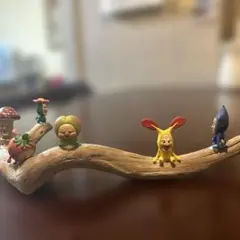 こびとづかん流木に乗ってみた♪♪