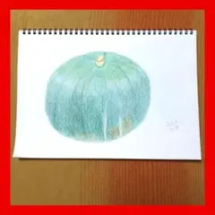今年８８歳になるおばあちゃんの鉛筆画【カボチャ③】イラスト 絵画 色鉛筆画