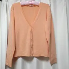 Item thumbnail for item a25f85f9-67fa-4319-8944-2e22477de4e1