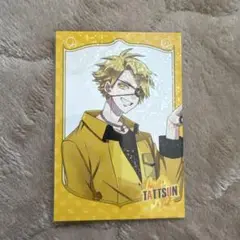 たっつん トレカ ホロ