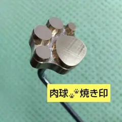 Item thumbnail for item 3bcb4438-c8bd-4a2c-bc51-8cf3c263a88e