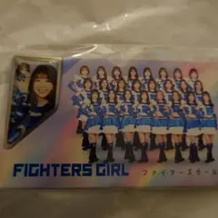 2025年最新】ファイターズガール 推しくじの人気アイテム - メルカリ