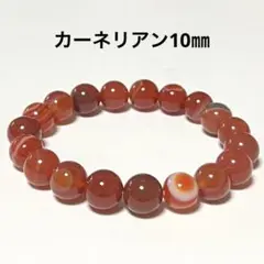 No.338カーネリアン10㎜ブレスレット