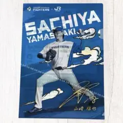 JR北海道×山﨑福也投手コラボクリアファイル　北海道日本ハムファイターズエスコン