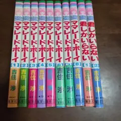 吉住渉 ママレードボーイ、君しかいらない