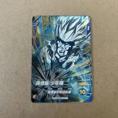 ダイバーズ 孫悟飯少年期 GDR SDV5-008【メルカリ便】