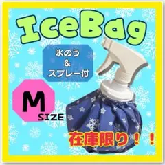 【在庫処分SALE！】スプレー付き氷のう　Mサイズ　氷嚢　アイスバッグ