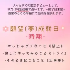 願望(夢)成就日 1日5名様限定キャンペーン価格 占い お試し鑑定 霊視