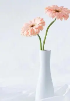 ♡様専用
