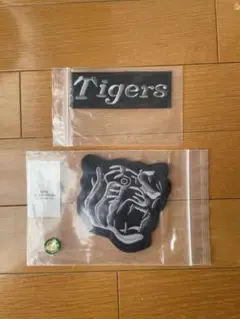 Item thumbnail for item 4cdfb6e6-5c96-4269-af13-c32d190d1f9d