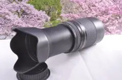 Item thumbnail for item 4457aeee-e25b-44b6-9cca-eb552af38eaa