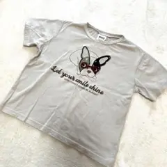 BREEZE フレンチブルドッグ Tシャツ size 100