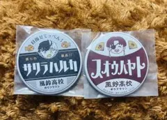 Wind Breaker ウィンドブレーカー 一番くじ 缶バッジ セット