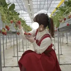 REDYAZEL ワンピース