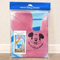 Item thumbnail for item 834a44f2-fe43-4ad4-9c46-573042c96af6