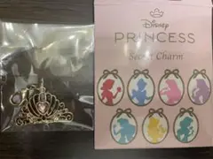Disney Princess Secret Charm