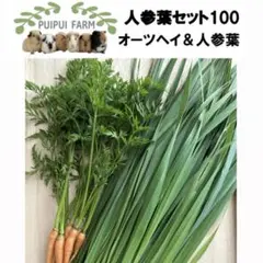 Item thumbnail for item 5e8c3c79-bc2d-4f24-b99a-01c2acc66b7f